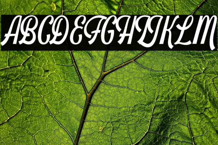 Schramberg Example 1