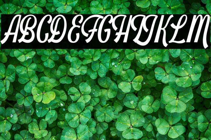 Schramberg Example 2