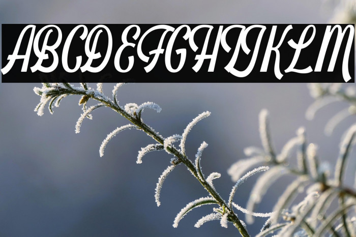 Schramberg Example 3