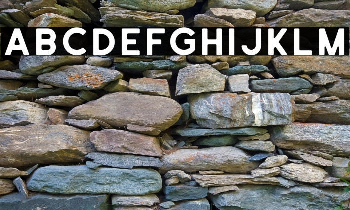 SchrambergSans Example 1