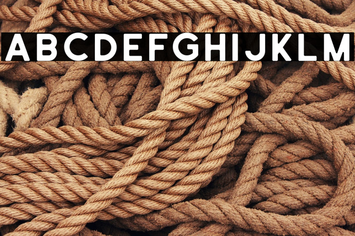 SchrambergSans Example 3