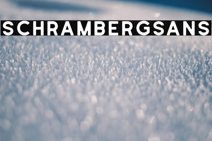 SchrambergSans Example 1
