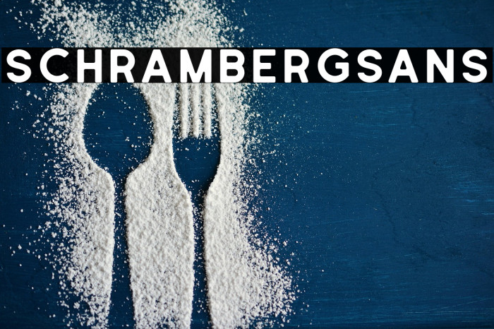 SchrambergSans Example 2