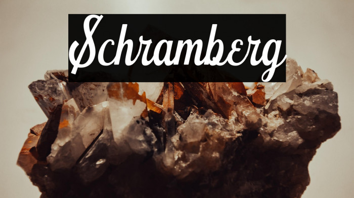 Schramberg Example 1
