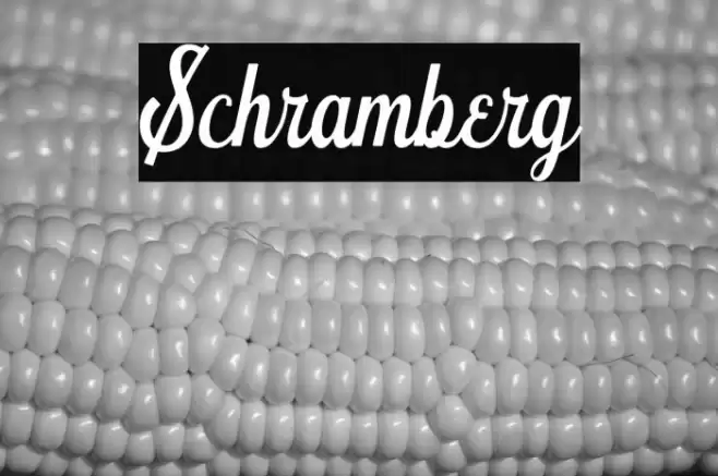 Schramberg Font examples