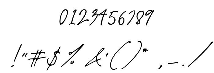 Schrödinger's Font OTHER CHARS