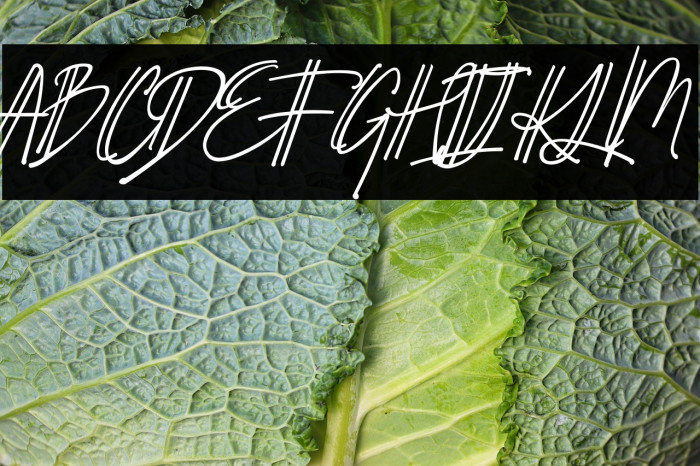 Schrödinger's Example 1