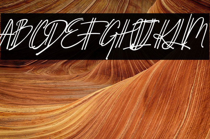 Schrödinger's Example 3