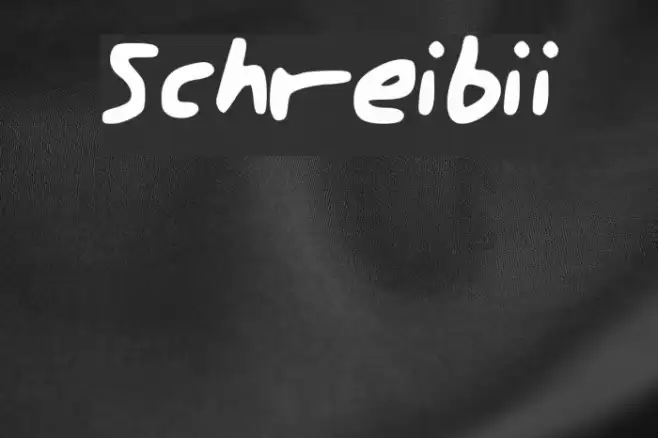 Schreibii Font examples