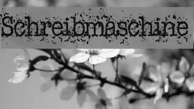 Schreibmaschine Font examples