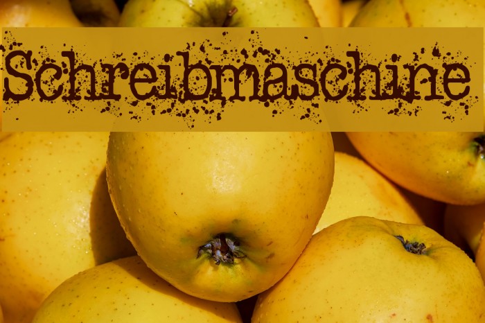 Schreibmaschine Caratteri examples