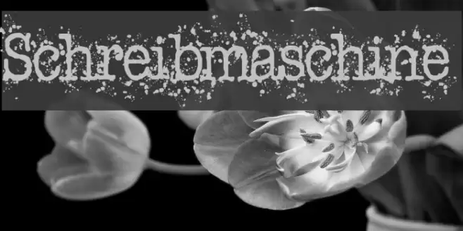 Schreibmaschine Font examples