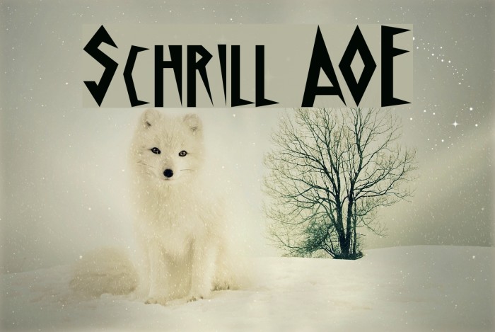 Schrill AOE Шрифта examples