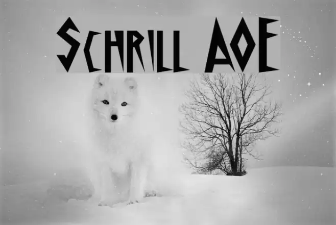 Schrill AOE Шрифта examples