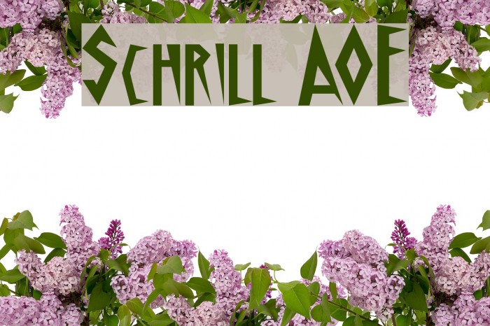 Schrill AOE Шрифта examples