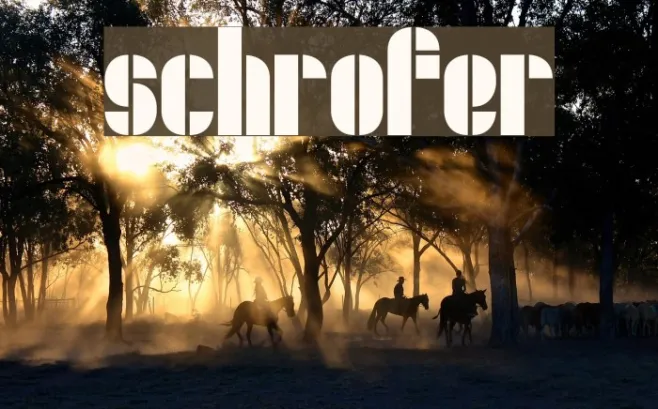 Schrofer Example 1