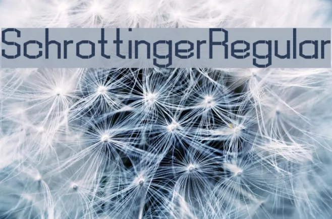 Schrottinger Regular Example 1