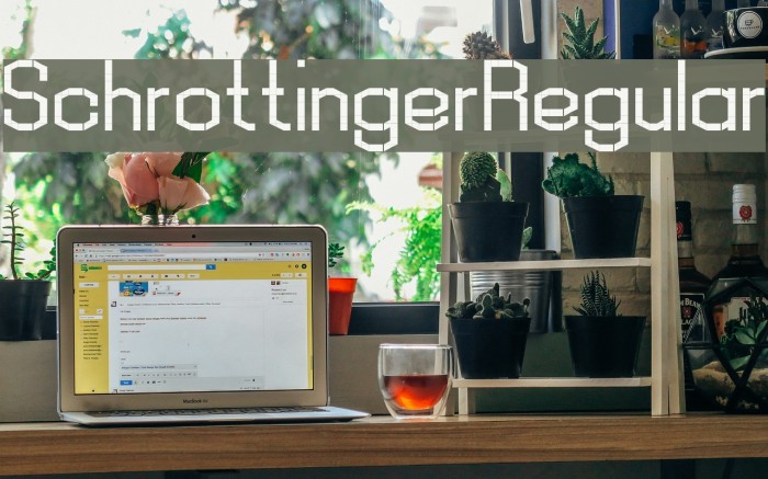 Schrottinger Regular Font examples