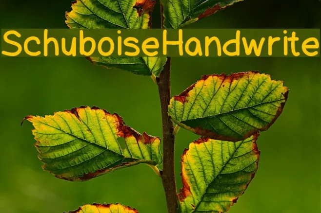 SchuboiseHandwrite Example 1
