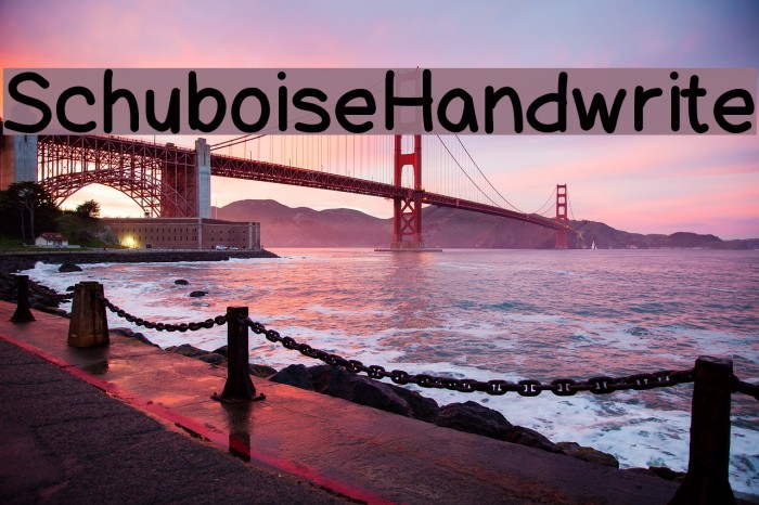 SchuboiseHandwrite Font examples