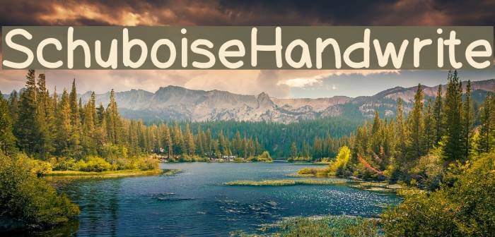 SchuboiseHandwrite Font examples
