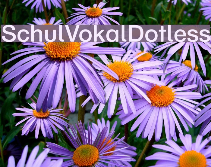 SchulVokalDotless Font examples