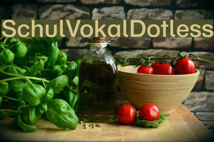 SchulVokalDotless Font examples