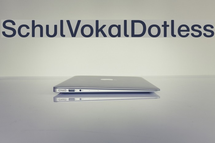 SchulVokalDotless Font examples