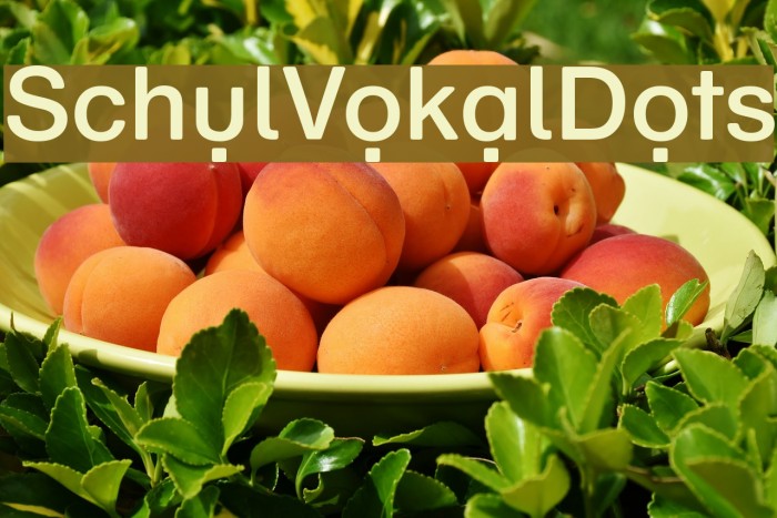 SchulVokalDots Font examples