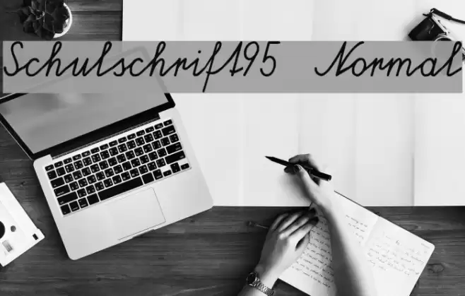 Schulschrift95  Normal Font examples