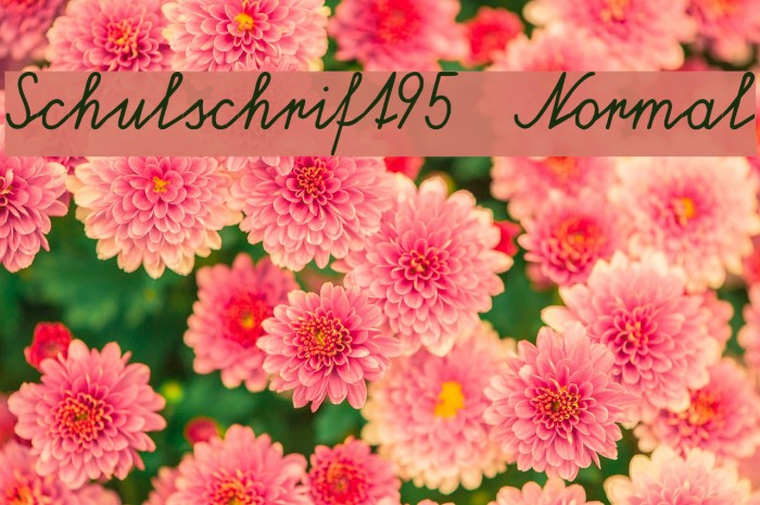 Schulschrift95 Normal Font examples