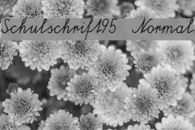 Schulschrift95  Normal Font examples