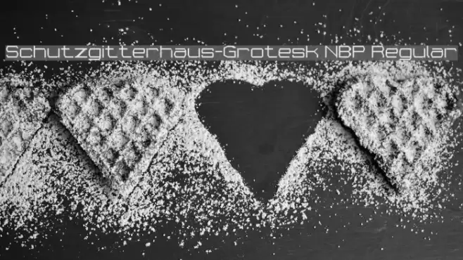 Schutzgitterhaus-Grotesk NBP Regular Font examples