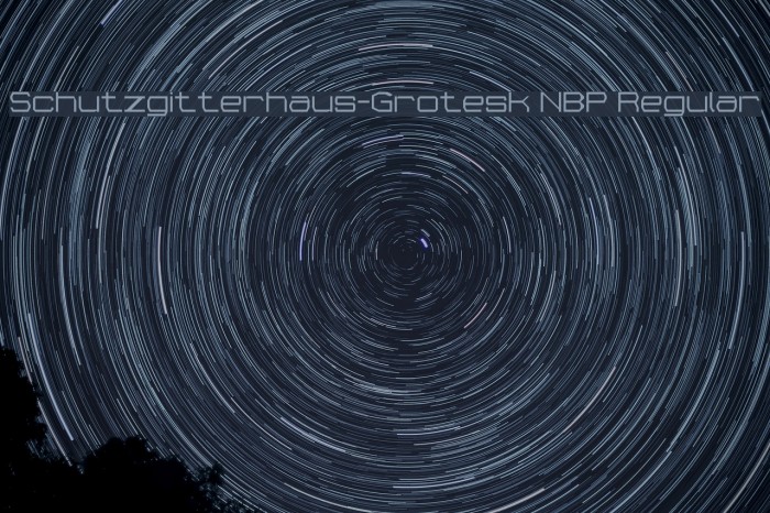 Schutzgitterhaus-Grotesk NBP Regular Font examples