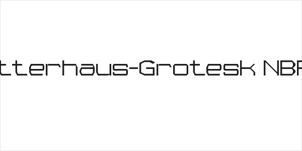 Schutzgitterhaus-Grotesk NBP Regular Logo