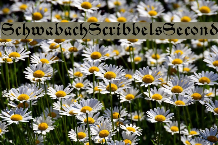 SchwabachScribbelsSecond Font examples