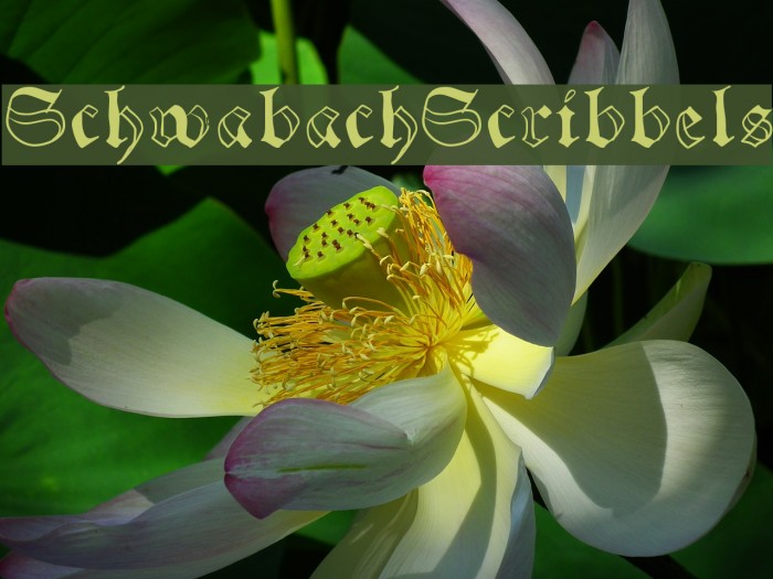SchwabachScribbels Font examples
