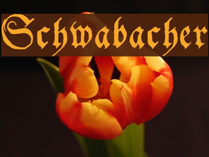 Schwabacher Font examples