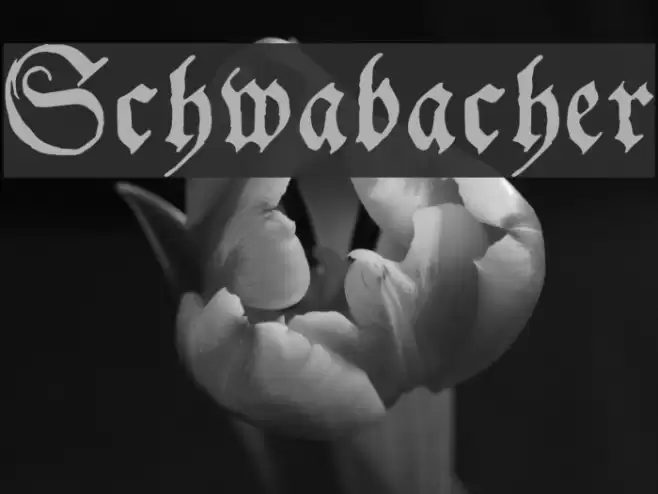 Schwabacher Polices examples