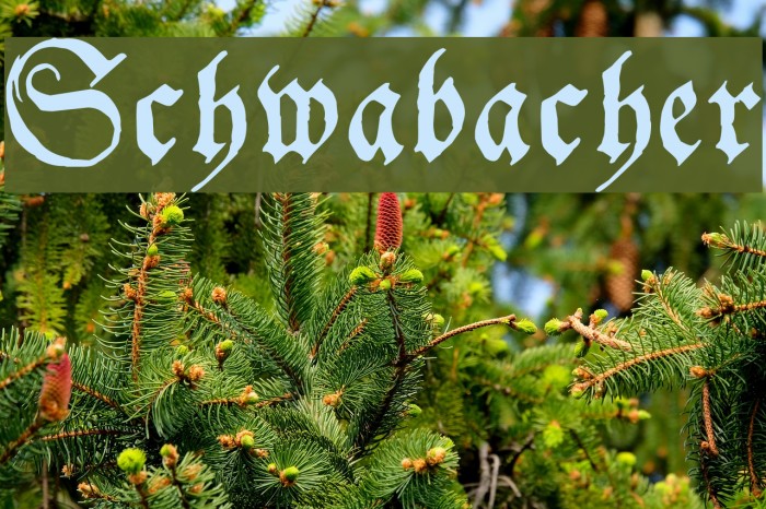 Schwabacher Font examples