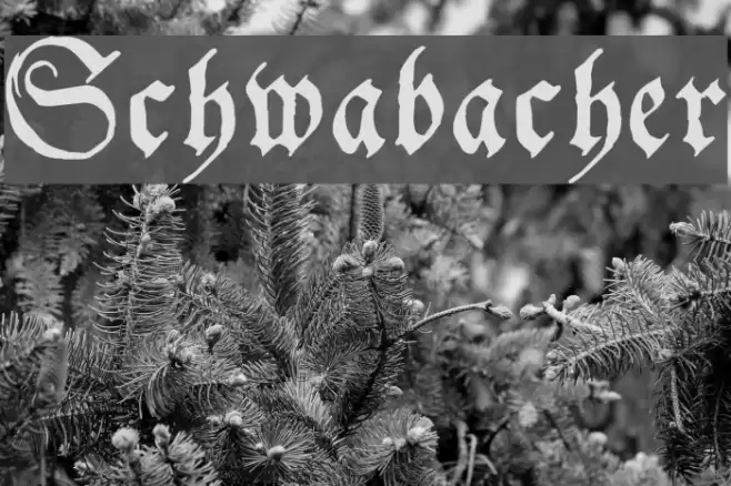 Schwabacher Polices examples