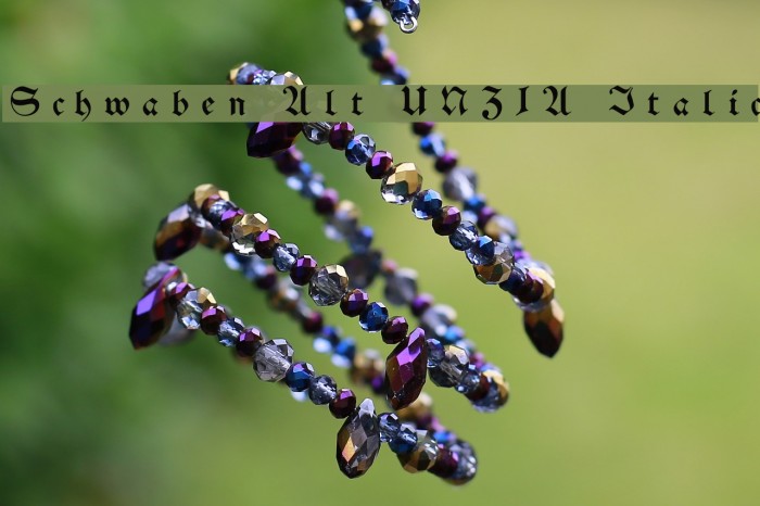 Schwaben Alt UNZ1A Italic Font examples