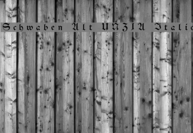 Schwaben Alt UNZ1A Italic Font examples