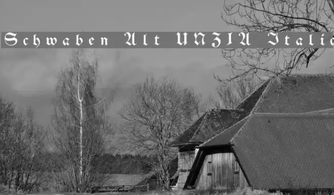 Schwaben Alt UNZ1A Italic Font examples