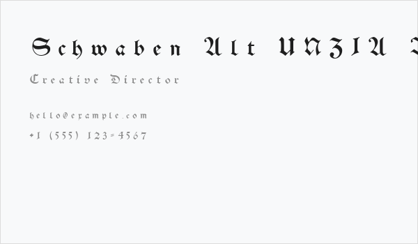 Schwaben Alt UNZ1A Italic Business Card