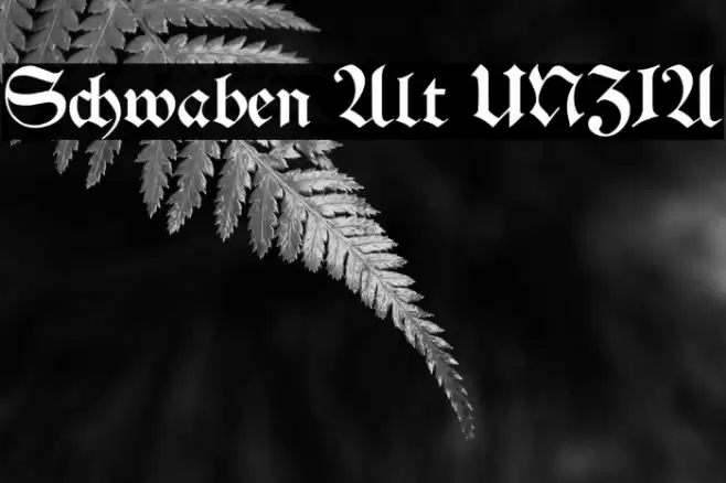 Schwaben Alt UNZ1A Font examples