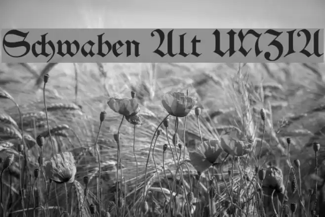 Schwaben Alt UNZ1A Font examples