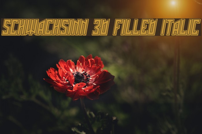 Schwachsinn 3D Filled Italic Font examples