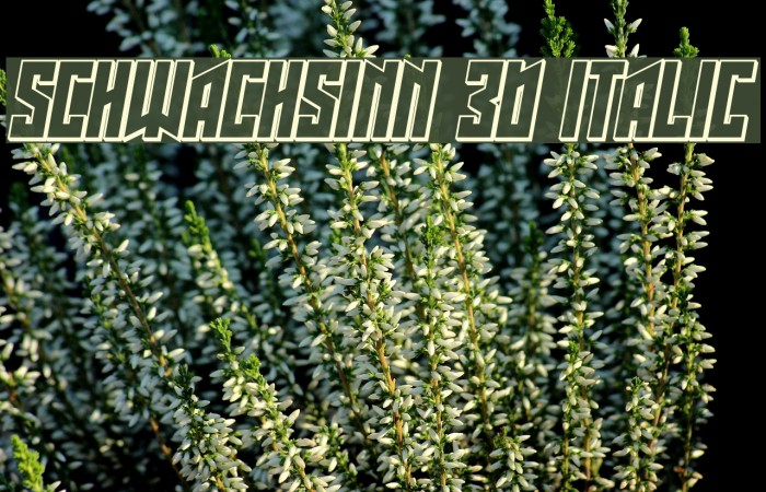 Schwachsinn 3D Italic Font examples