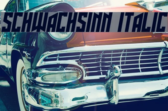 Schwachsinn Italic Example 1